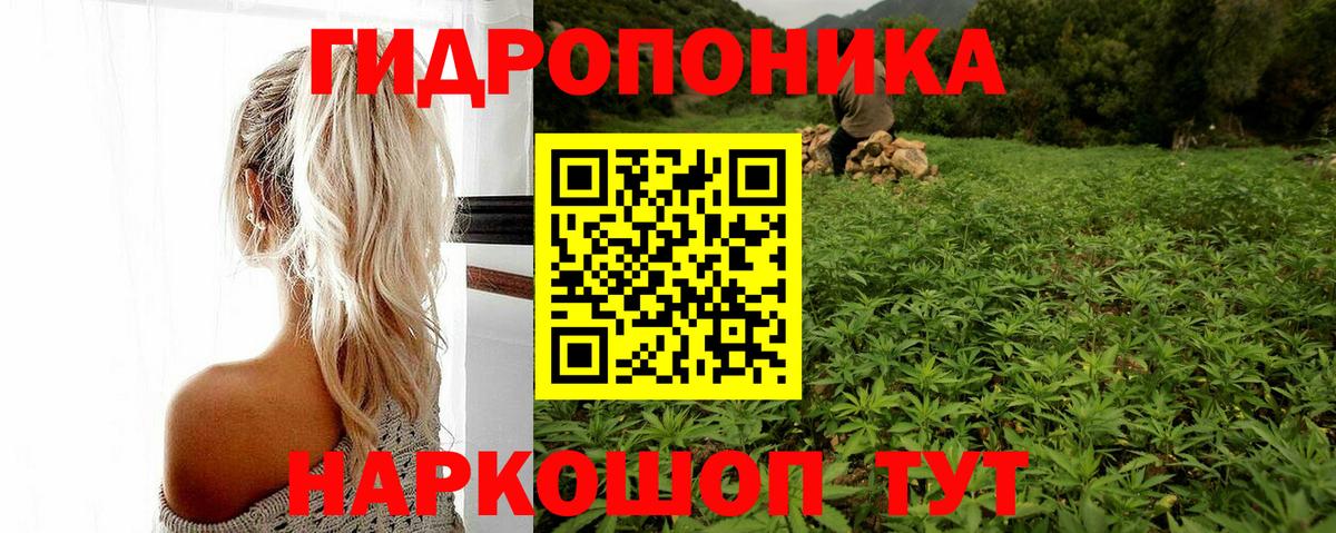 Канабис OG Kush Ухта